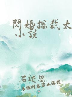 闪婚总裁太霸道 小说