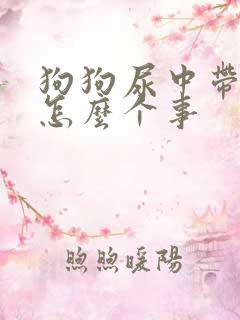 狗狗尿中带血是怎么个事