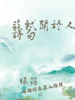 苏轼关于人生的诗句