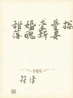 甜婚袭爱总裁的落魄新妻