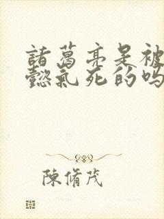 诸葛亮是被司马懿气死的吗