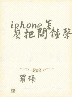 iphone怎么把闹钟声音调大