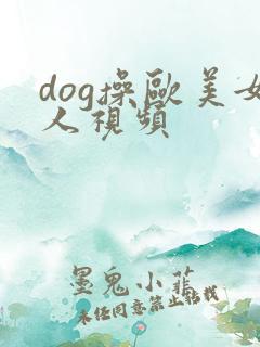 dog操欧美女人视频