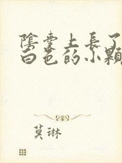 阴囊上长了好多白色的小颗粒状的