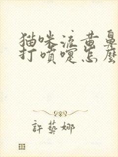 猫咪流黄鼻涕,打喷嚏怎么回事