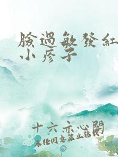 脸过敏发红痒起小疹子