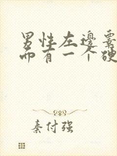 男性左边睾丸里面有一个硬疙瘩