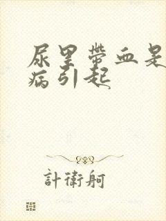 尿里带血是属什病引起