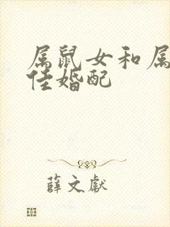 属鼠女和属狗最佳婚配