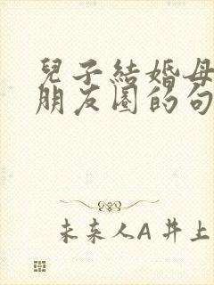 儿子结婚母亲发朋友圈的句子