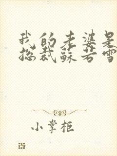 我的老婆是冰山总裁苏若雪沈浪