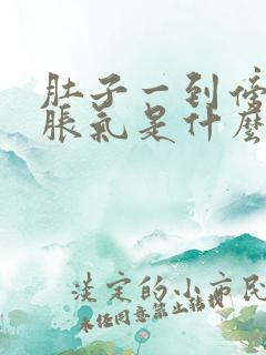 肚子一到傍晚就胀气是什么原因