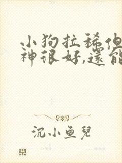 小狗拉稀但是精神很好,还能吃