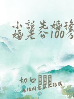 小说先婚后爱闪婚老公100分最新章节