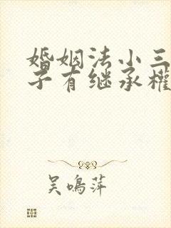 婚姻法小三的孩子有继承权吗