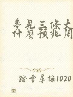 梦见三条大蛇是什么预兆周公解梦