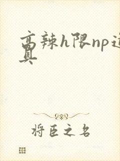 高辣h限np道具