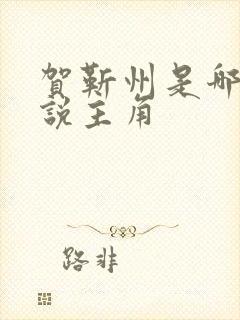 贺靳州是哪部小说主角