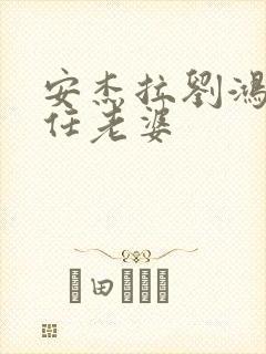 安杰拉刘鸿飞现任老婆