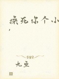 操死你个小骚货,