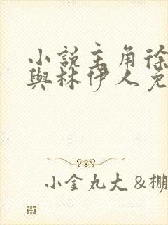 小说主角徐文东与林伊人免费阅读