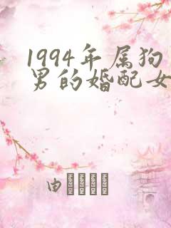 1994年属狗男的婚配女士