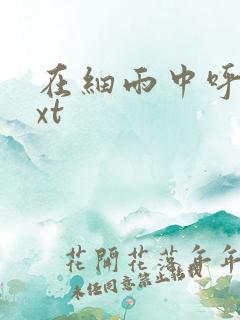 在细雨中呼喊txt