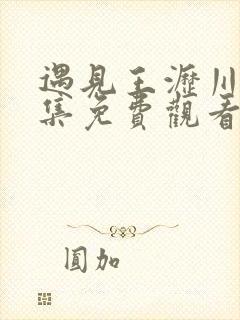 遇见王沥川40集免费观看