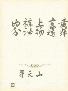 内裤上有黄黄的分泌物还痒是怎么回事