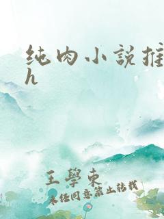 纯肉小说推荐高h