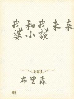 我和我未来的老婆小说