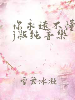 你永远不懂我dj版纯音乐