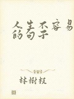 人生不容易感悟的句子