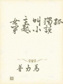 女主叫独孤月的穿越小说