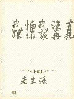 我怕我没有机会跟你说再见是什么歌词