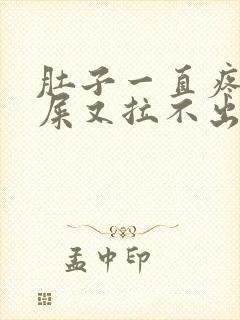 肚子一直疼想拉屎又拉不出来