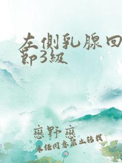 左侧乳腺回声结节3级