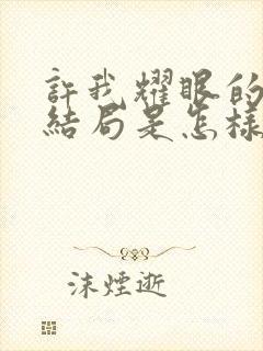 许我耀眼的剧情结局是怎样的