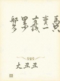 哪里有卖马犬的多少钱一只