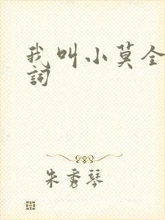 我叫小莫全部歌词
