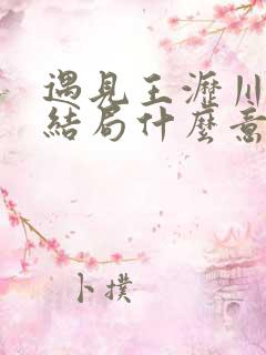 遇见王沥川最后结局什么意思