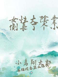 女性大阴囊唇内侧长了个小红疙瘩