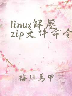 linux解压zip文件命令