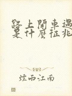 路上开车遇到蛇是什么征兆