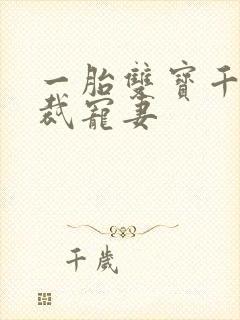 一胎双宝千亿总裁宠妻