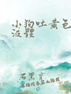 小狗吐黄色粘稠液体