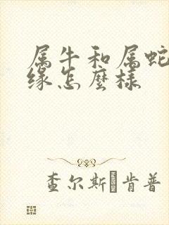 属牛和属蛇的姻缘怎么样