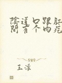 阴道口跟肛门之间有个肉疙瘩是什么