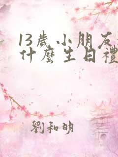 13岁小朋友送什么生日礼物