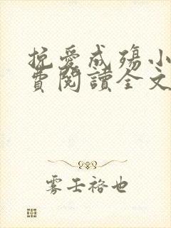 挽爱成殇小说免费阅读全文